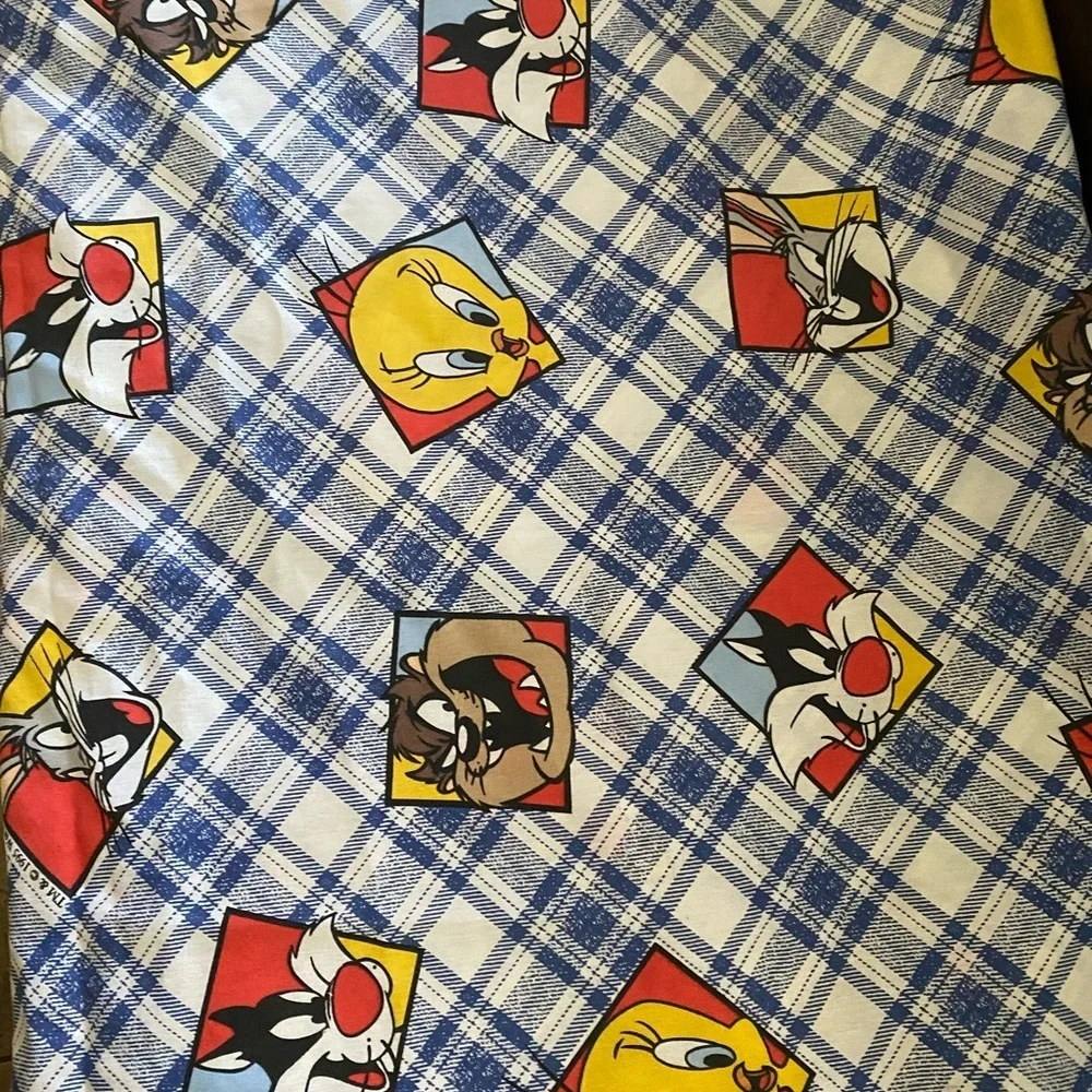 Vintage 1995 Looney Tunes Warner Bros. Character Plaid Blue WhiteTwin Flat Sheet